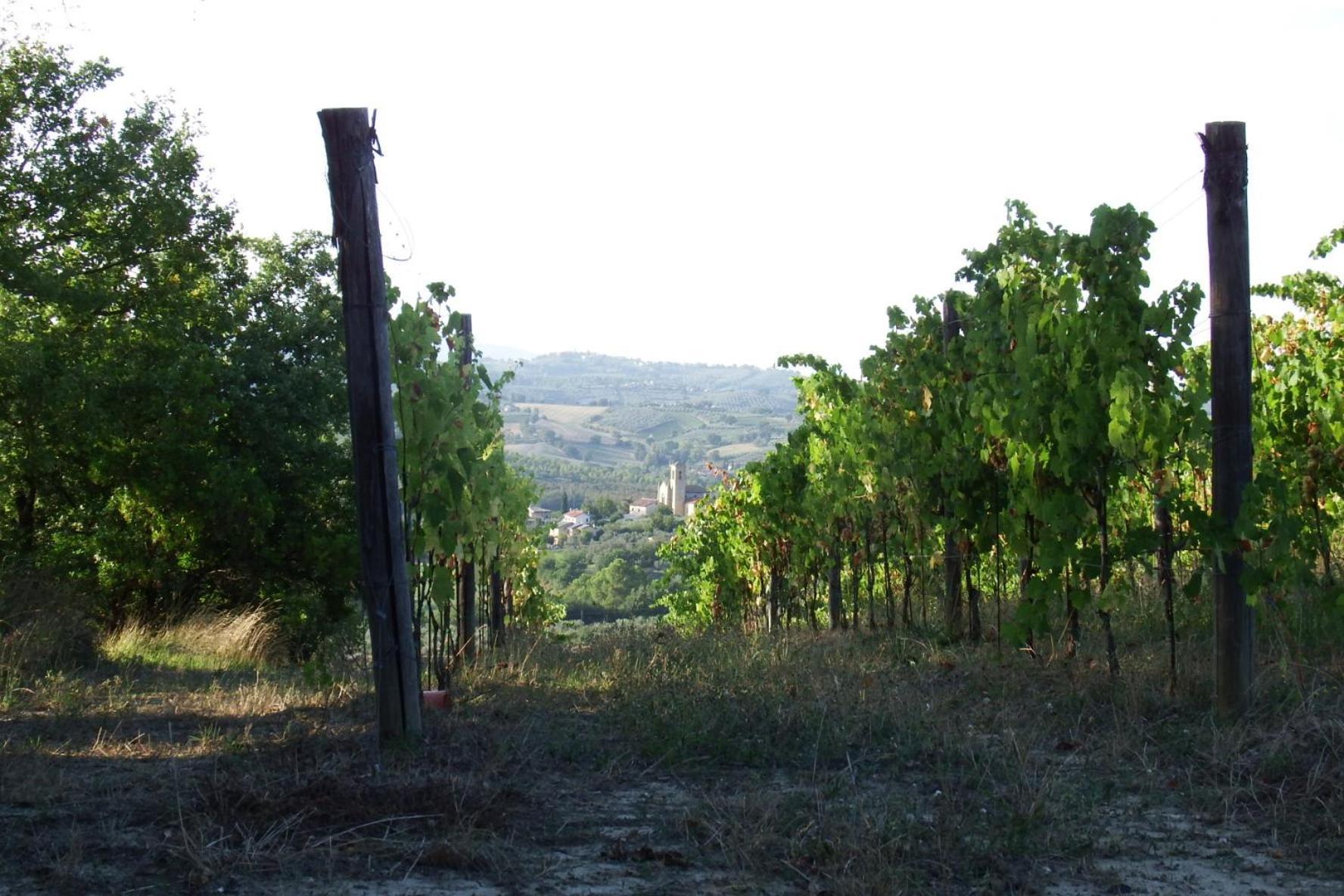 Casale Fusco Villa Spoleto Kültér fotó