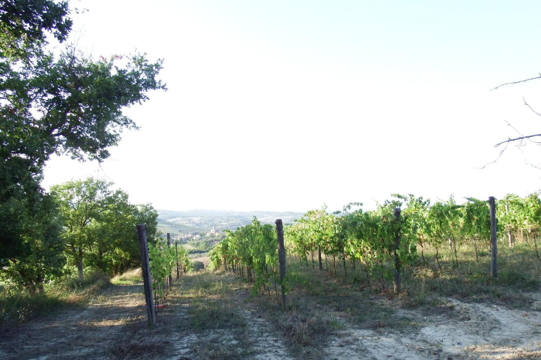 Casale Fusco Villa Spoleto Kültér fotó