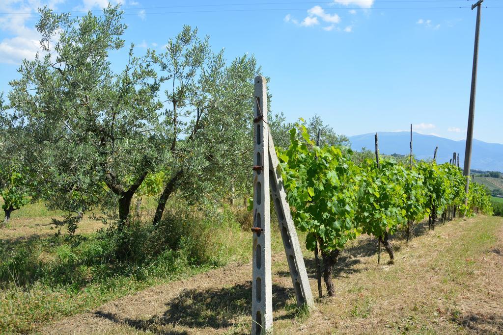 Casale Fusco Villa Spoleto Kültér fotó