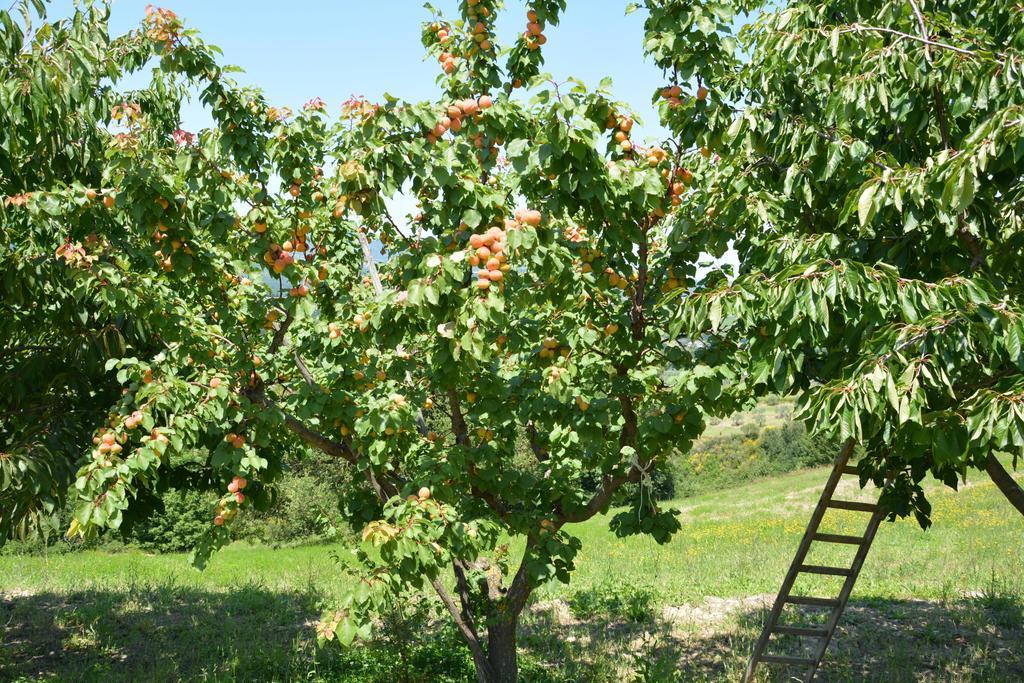Casale Fusco Villa Spoleto Kültér fotó