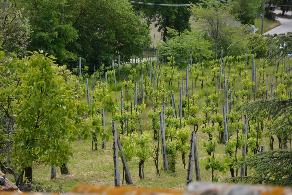 Casale Fusco Villa Spoleto Kültér fotó