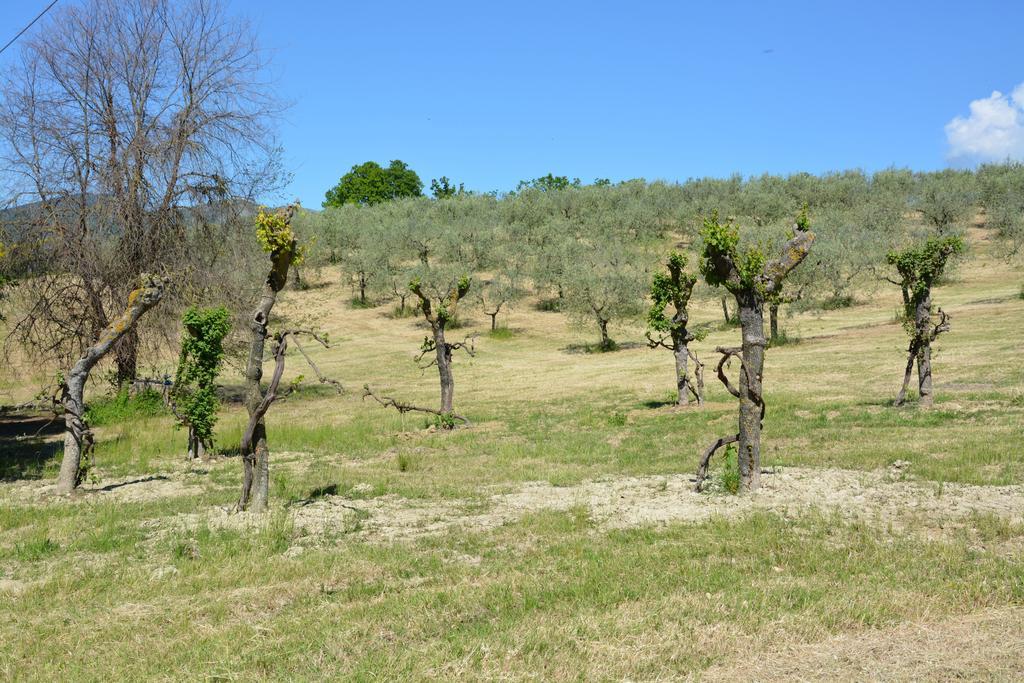 Casale Fusco Villa Spoleto Kültér fotó