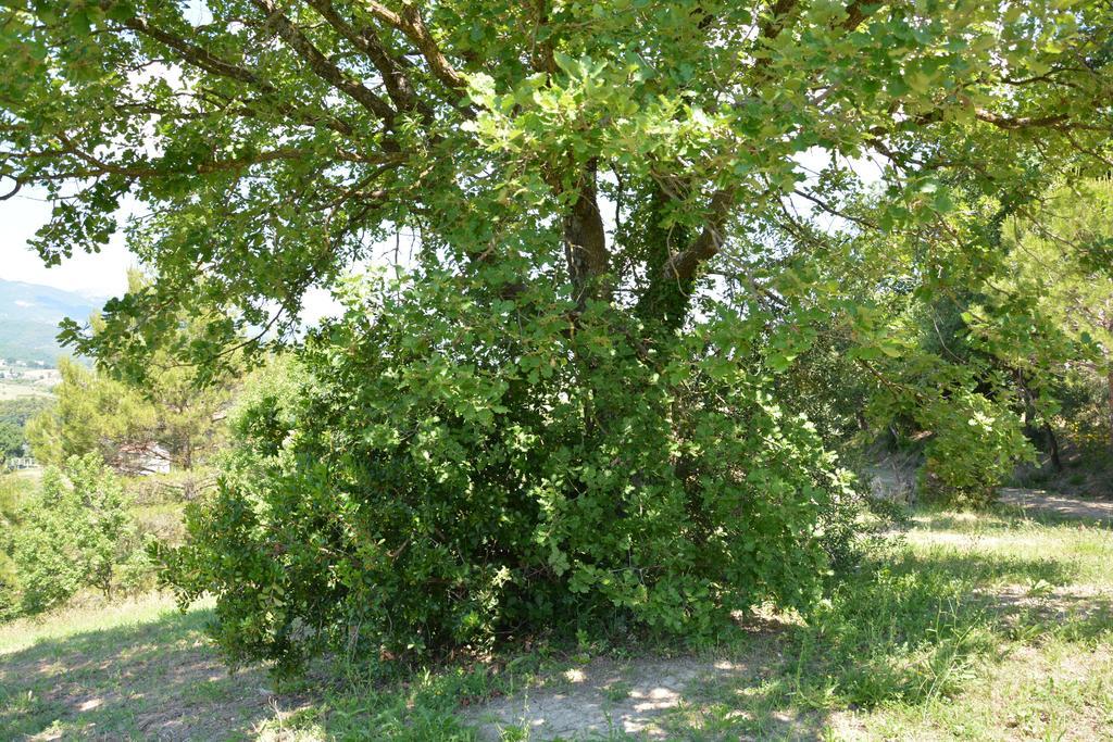 Casale Fusco Villa Spoleto Kültér fotó